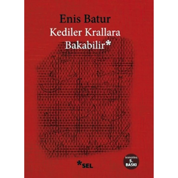 Kediler Krallara Bakabilir