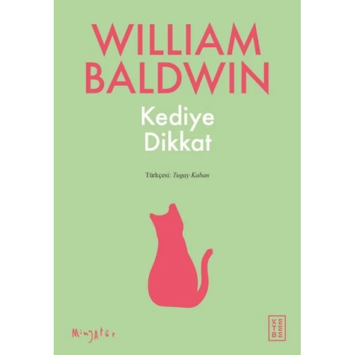 Kediye Dikkat