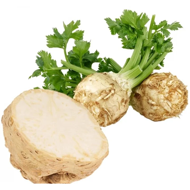 KEREVİZ (ÇOKLU TOHUM) - 3 Gram