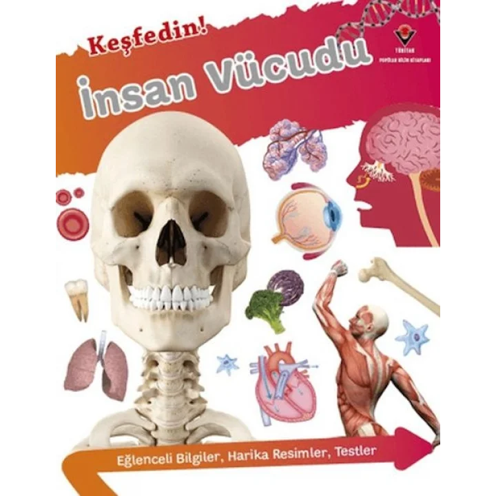 Keşfedin! İnsan Vücüdu