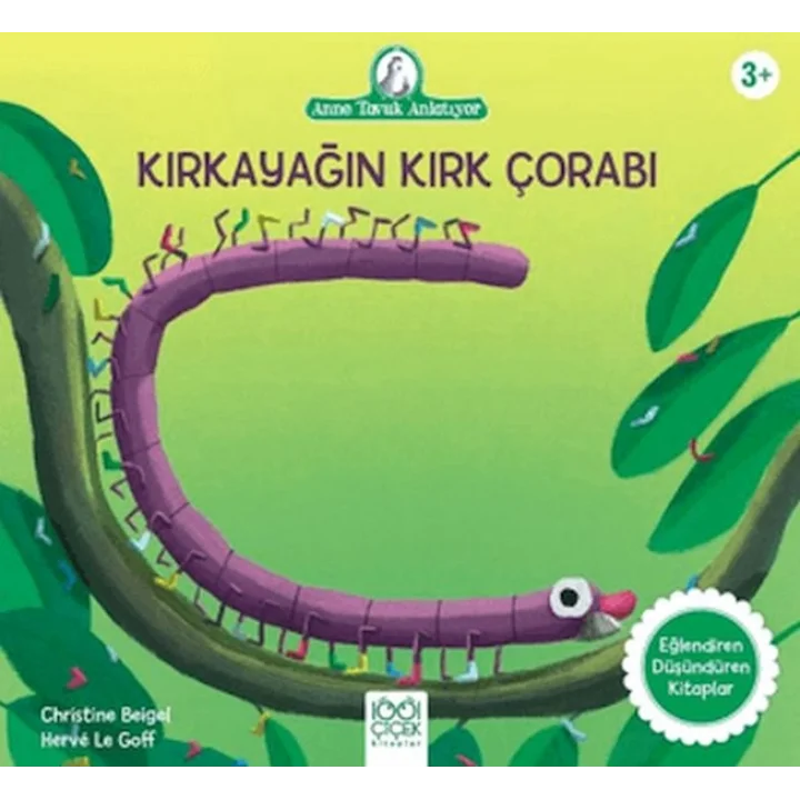 Kırkayağın Kırk Çorabı
