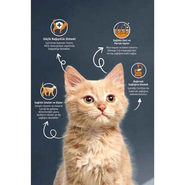 Kıtten Chıcken & Rıce Cat Food 10 kg