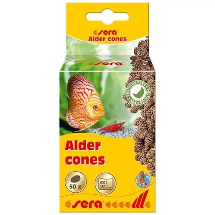 Kızılağaç Kozalağı 50 Adet