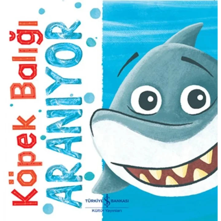 Köpek Balığı Aranıyor