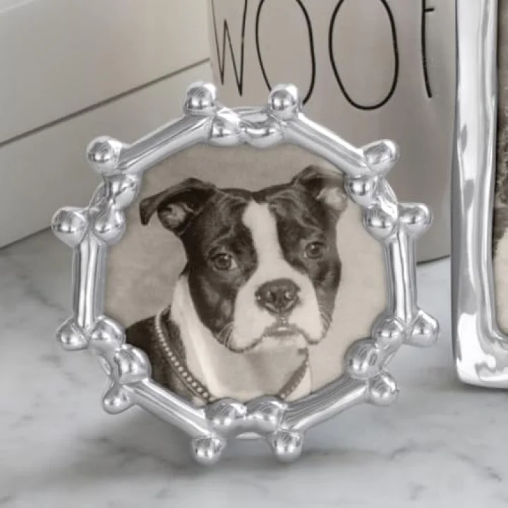köpek kemik yuvarlak çerçeve, gümüş, 4 x 6