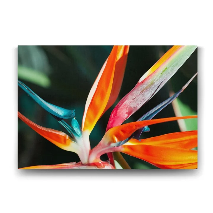 Kraliçe Çiçeği Tablosu - 140x100cm