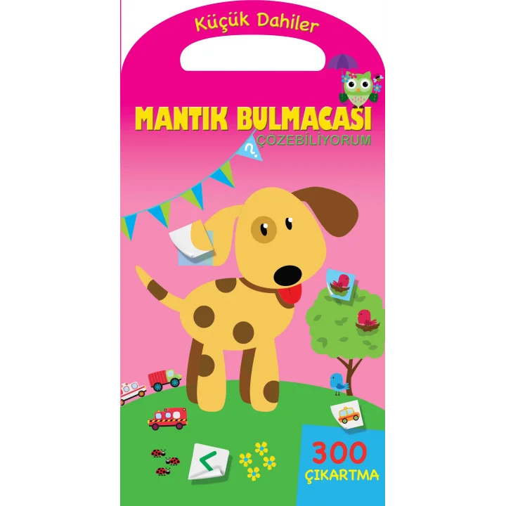 Küçük Dahiler - Mantık Bulmacaları Çözebiliyorum
