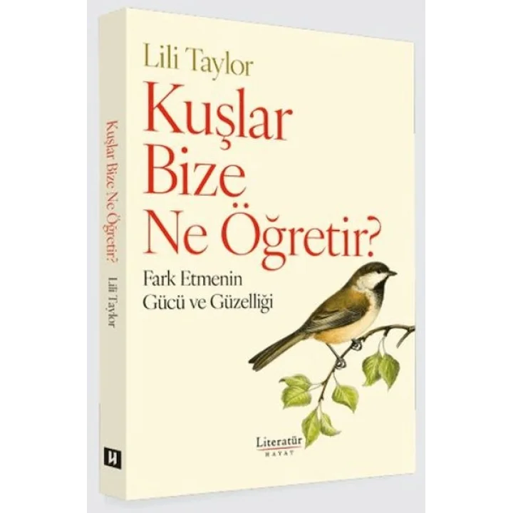 Kuşlar Bize Ne Öğretir?