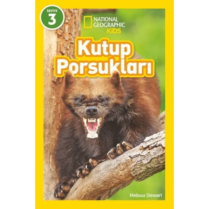 Kutup Porsukları - National Geographic Kids