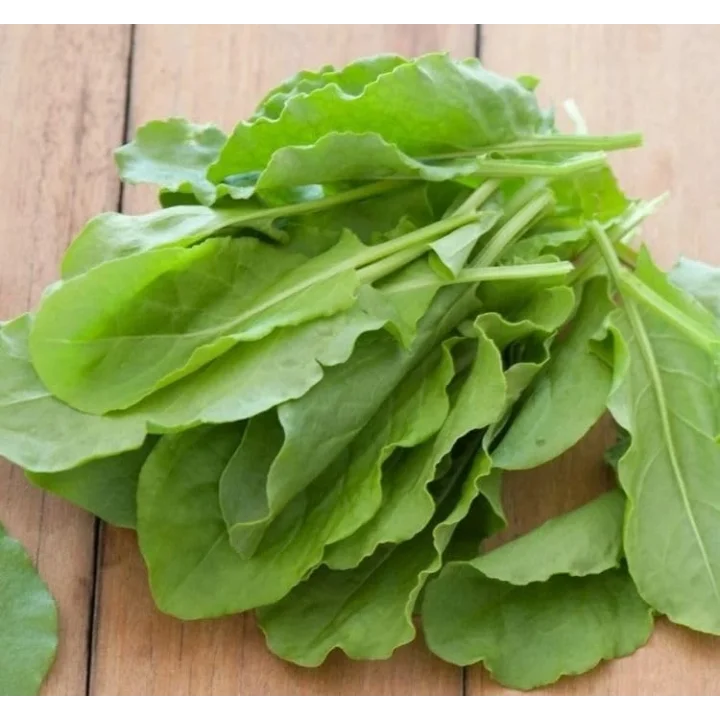 KUZUKULAĞI EKŞİ (ÇOKLU TOHUM) - 3 Gram