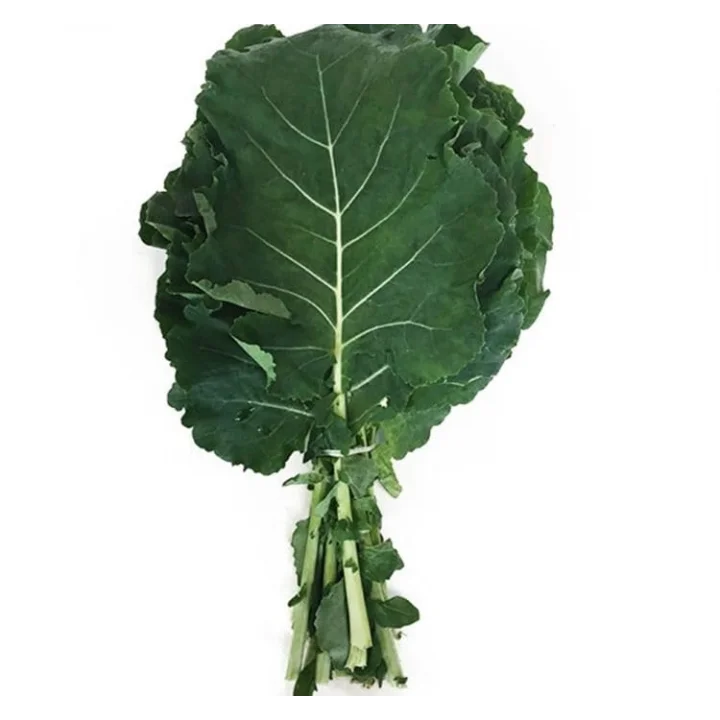 LAHANA KARADENİZ (ÇOKLU TOHUM) - 5 Gram