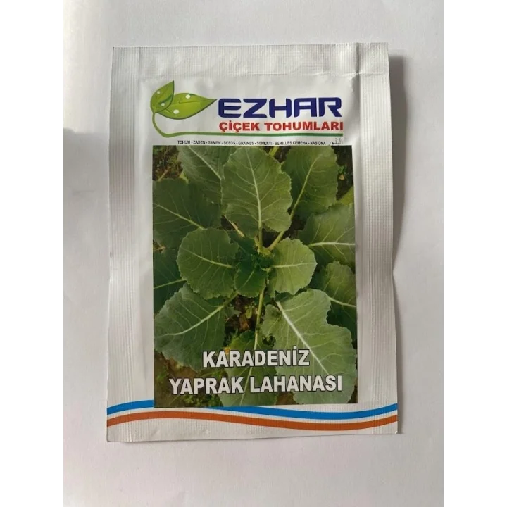 LAHANA KARADENİZ (ÇOKLU TOHUM) - 5 Gram