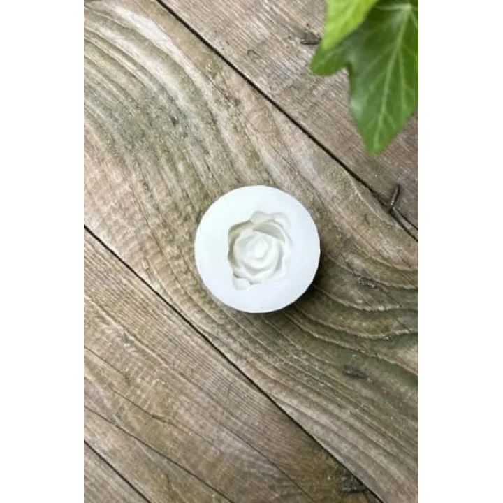 Laui Sukulent Mum Kalıbı (Silikon)