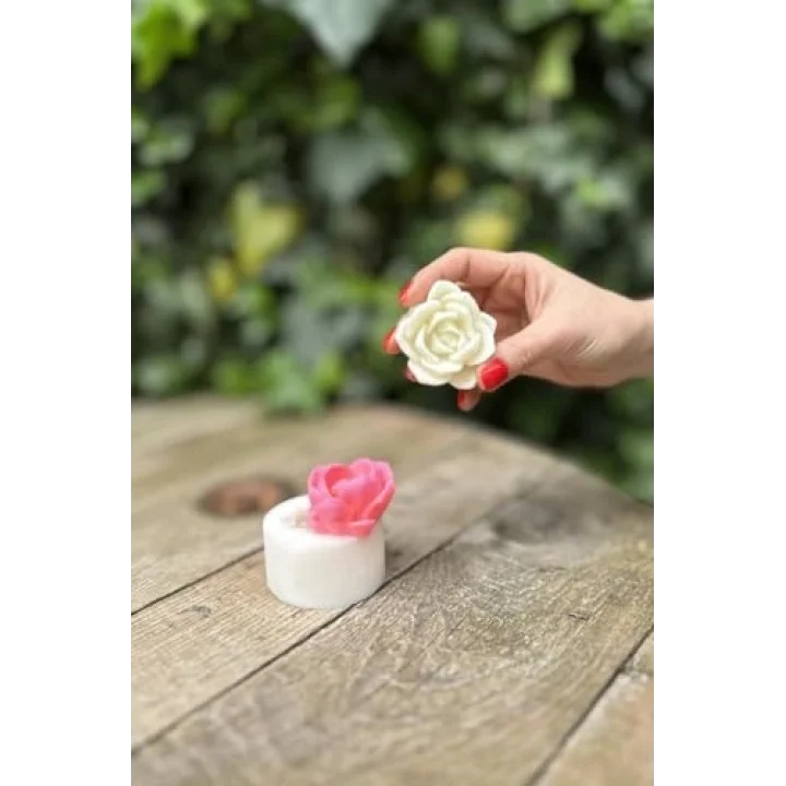 Laui Sukulent Mum Kalıbı (Silikon)