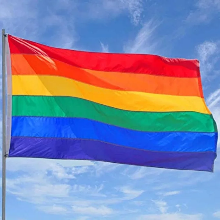 LGBT Bayrağı 70x105 Cm