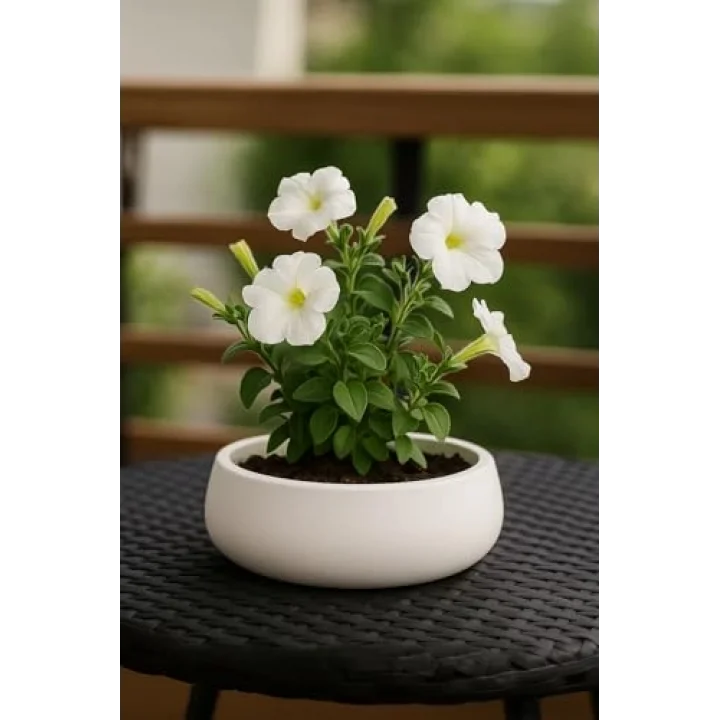 Lümin Modern Beyaz Dekoratif Kase – El Yapımı Minimalist Tasarım