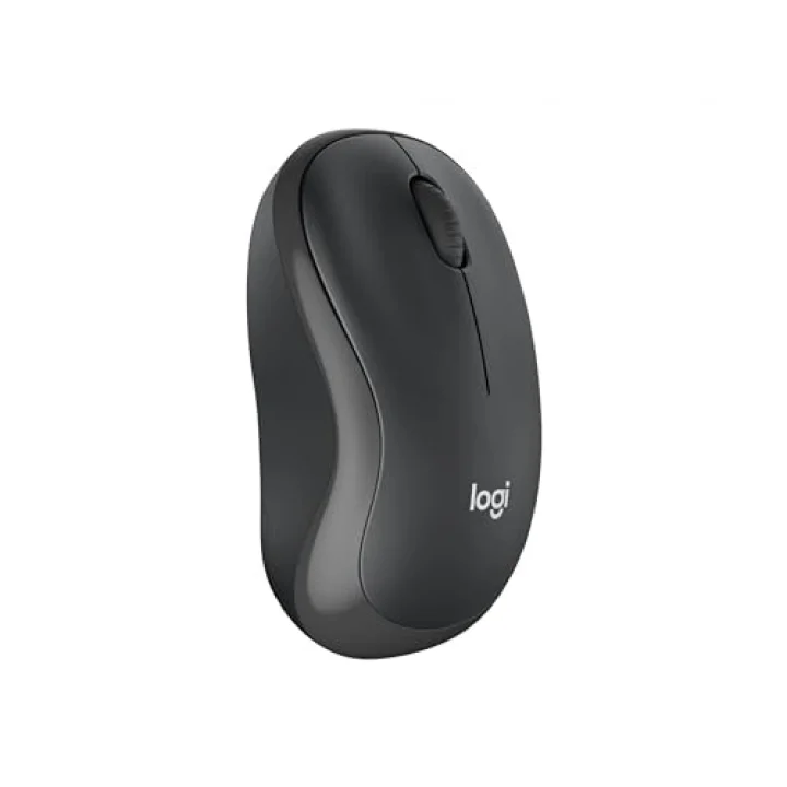 M240 Sessiz Bluetooth Mouse, Kablosuz, Kompakt, Taşınabilir, Akıcı İzleme, Windows, macOS, ChromeOS için, Bilgisayar, Macbook, Laptop, Tablet ile Uyumlu, 18 Aylık Pil Ömrü, Siyah