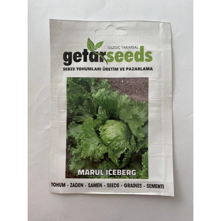 MARUL İCEBERG (ÇOKLU TOHUM) - 3 Gram