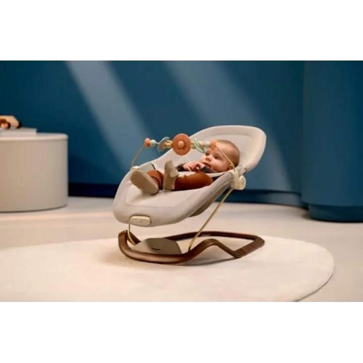 Maxi-Cosi Dove Pro Sezgisel Sallanan İkonik Tasarım Ev Tipi Ana Kucağı Elegance Graphite