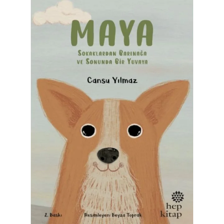 Maya - Sokaklardan Barınağa ve Sonunda Bir Yuvaya