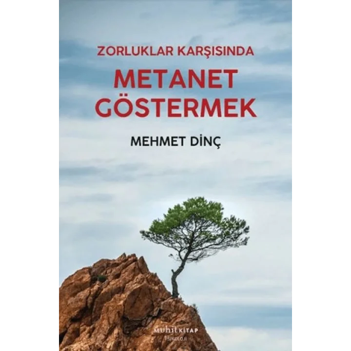 Metanet Göstermek