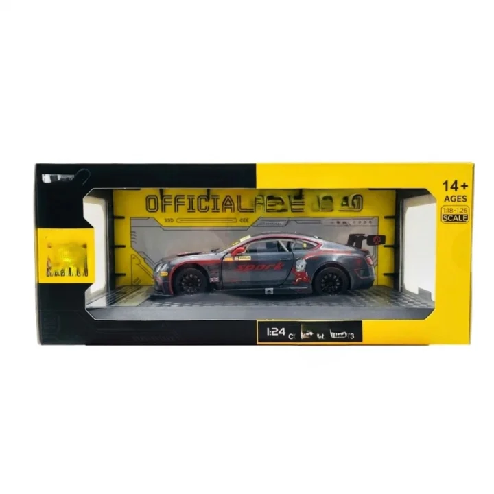 Mey İthalat® 1/24 GT3 Silver Grey Model Araba