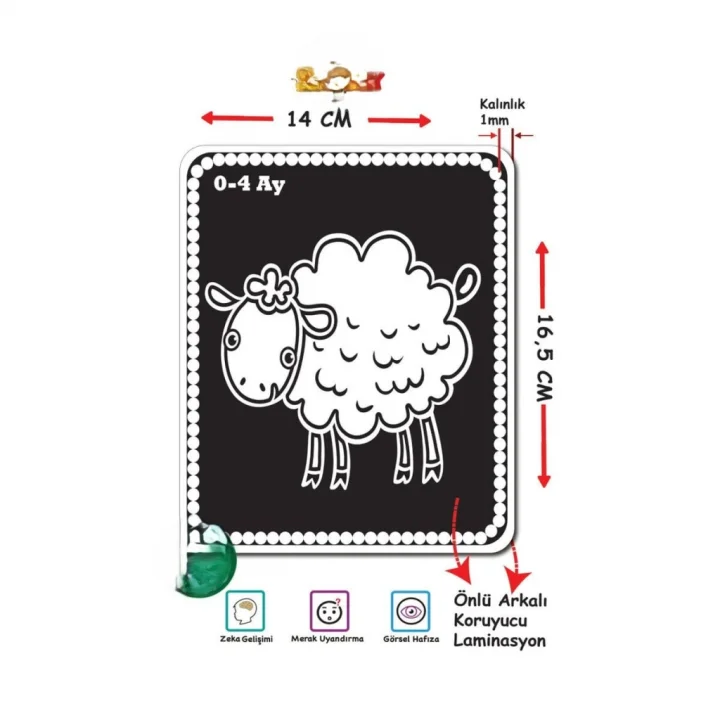 Mey İthalat® 1369 BEBEĞİMİN İLK ZEKA KARTLARI