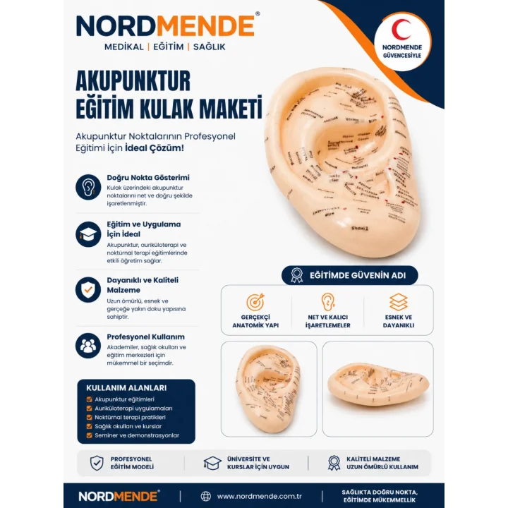 Mey İthalat®  Akupunktur Eğitim Kulak Maketi Auriküloterapi Nokta Gösterim Anatomik Eğitim Modeli