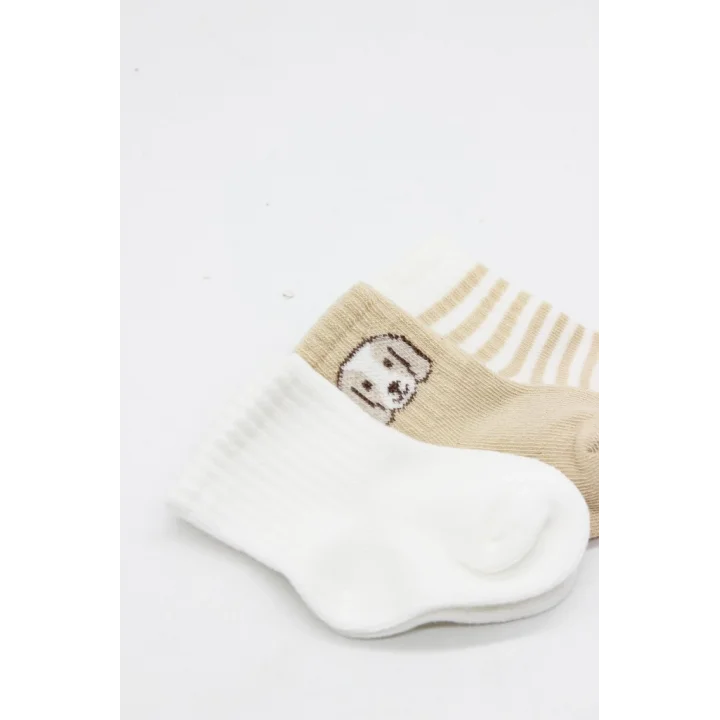 Mey İthalat® Bistyle Dog Boy 3lü Penye Soket Çorap 10134 Ekru