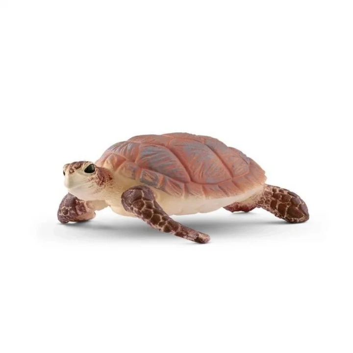 Mey İthalat® Deniz Kaplumbağası