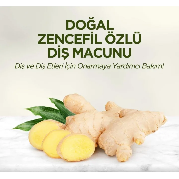 Mey İthalat®   Doğal Diş Macunu 90 Gr Zencefil Özlü