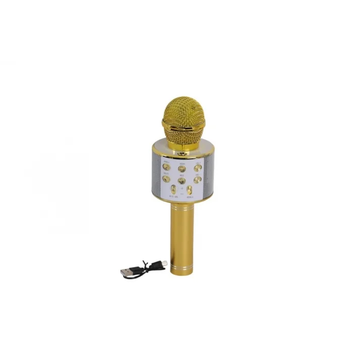 Mey İthalat® EMR-101 KUTULU KARAOKE MİKROFON