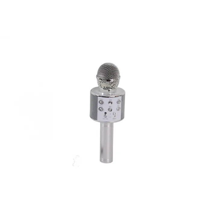 Mey İthalat® EMR-101 KUTULU KARAOKE MİKROFON