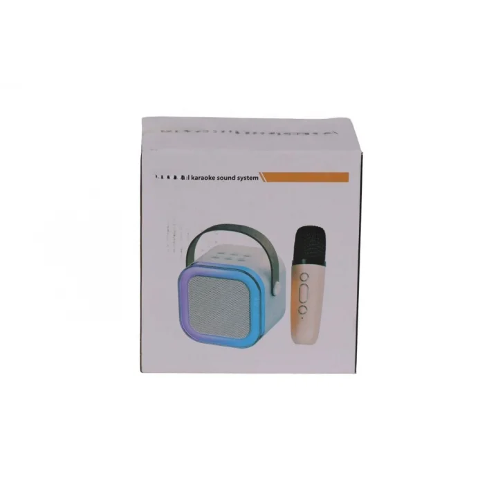 Mey İthalat® EMR-102 KUTULU 2Lİ KARAOKE MİKROFON