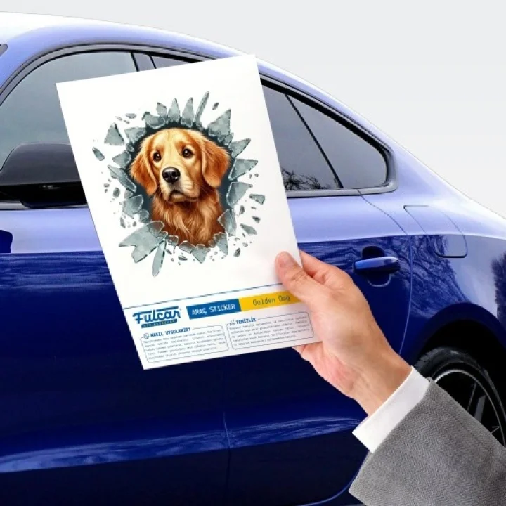 Mey İthalat® Fulcar Golden Araç Stickerı