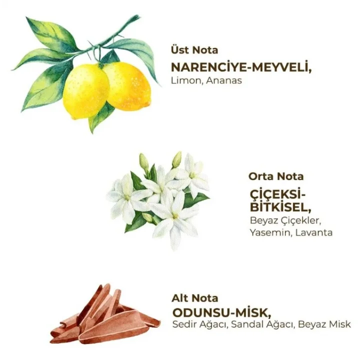 Mey İthalat®   Kadın Roll On Deodorant 75 ml Fresh
