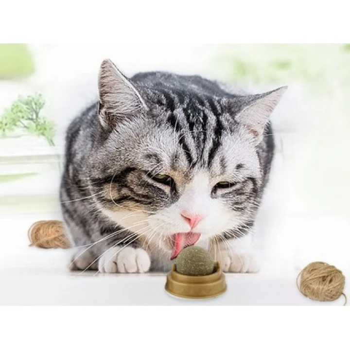 Mey İthalat® Kedi Nanesi (Catnip) Oyun Topu