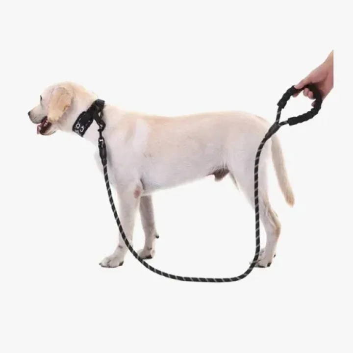 Mey İthalat® Köpekler İçin Reflektörlü Halat Gezdirme Tasması
