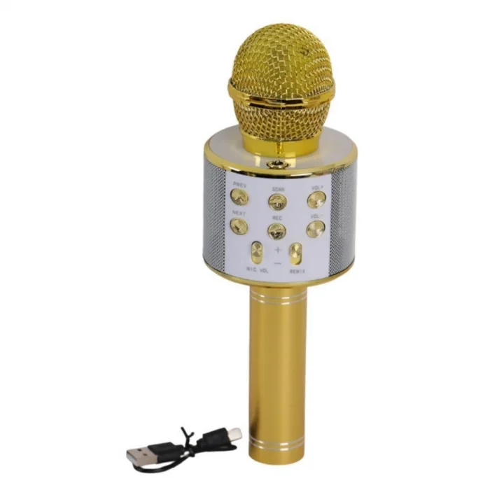 Mey İthalat® Kutulu Karaoke Mikrofon