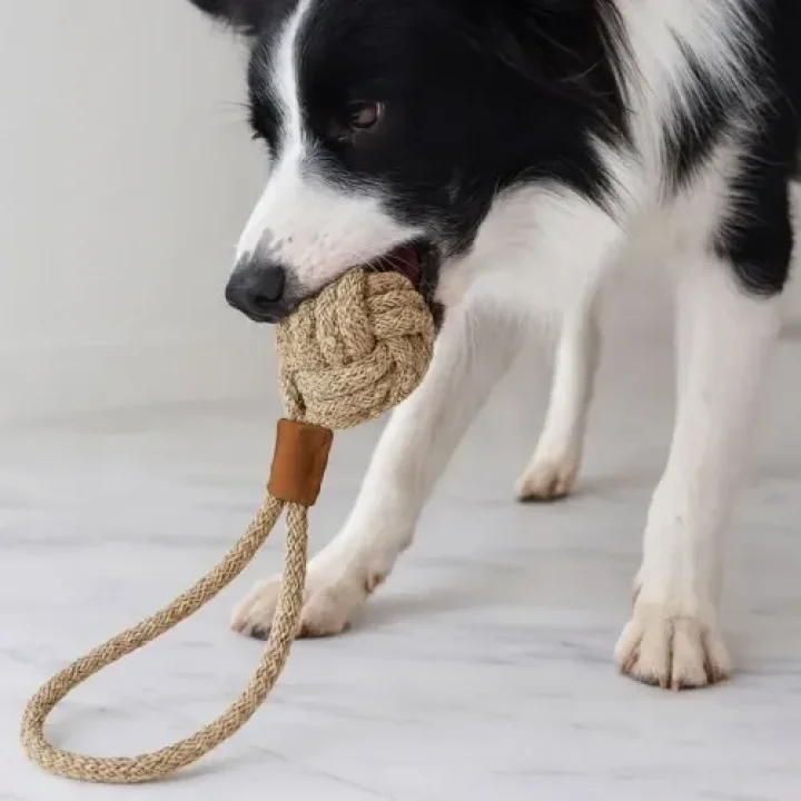 Mey İthalat® Mikopet Köpek Oyun Topu