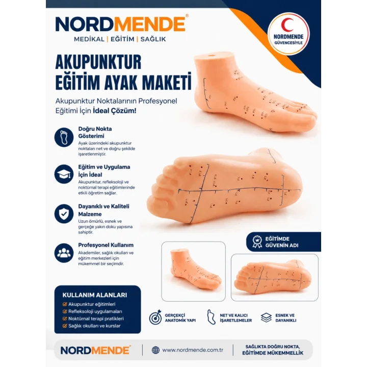 Mey İthalat®  Akupunktur Eğitim Ayak Maketi Anatomik Refleksoloji Nokta Gösterim Modeli Eğitim Maketi