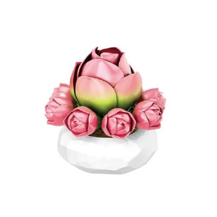 Mey İthalat® P655059 ZAMBAK SUKULENT MODEL 41 PARÇA BLOCK OYUNCAK