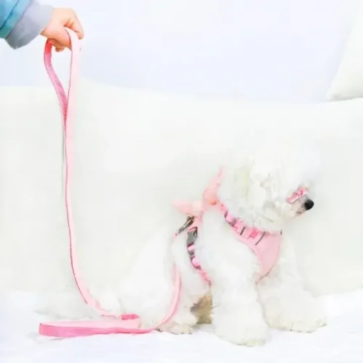 Mey İthalat® Peluş Ayıcıklı Göğüs Gezdirme Tasması Seti
