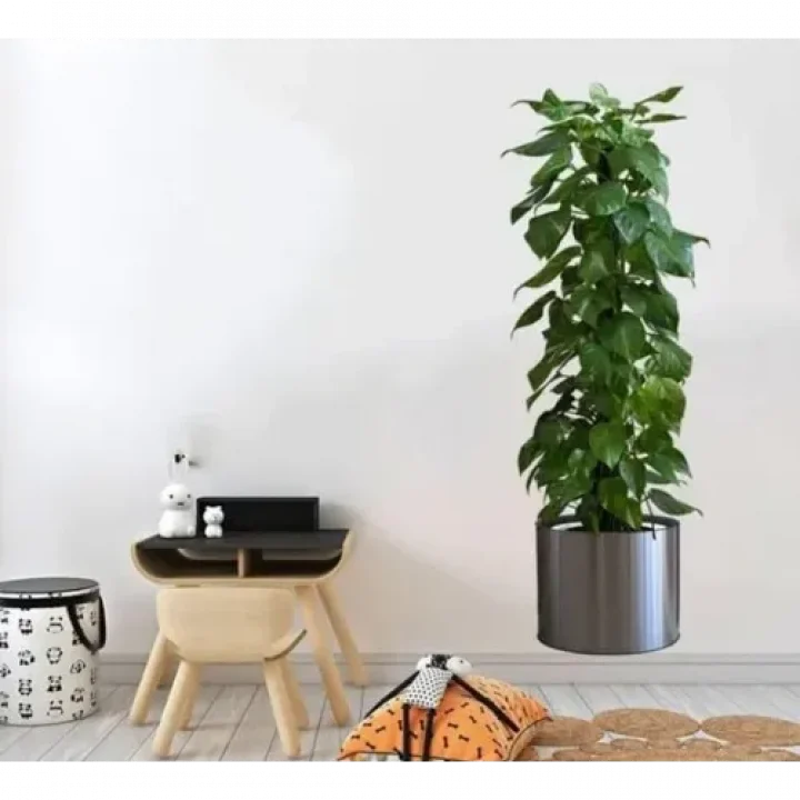 Mey İthalat® Saksılı Bitki Tasarımlı Yapışkanlı Sticker Resim 90*30 cm MC-665