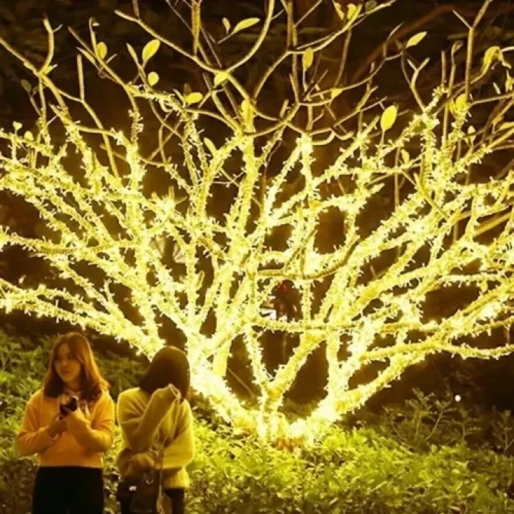 Mey İthalat® Solar Peri Led 20m 200 Led Gün Işığı
