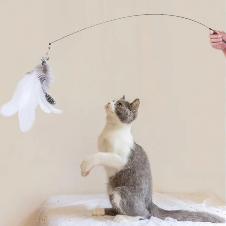 Mey İthalat®  Vantuzlu Tüylü Zilli Olta Kedi Oyuncağı 2 Oltalı