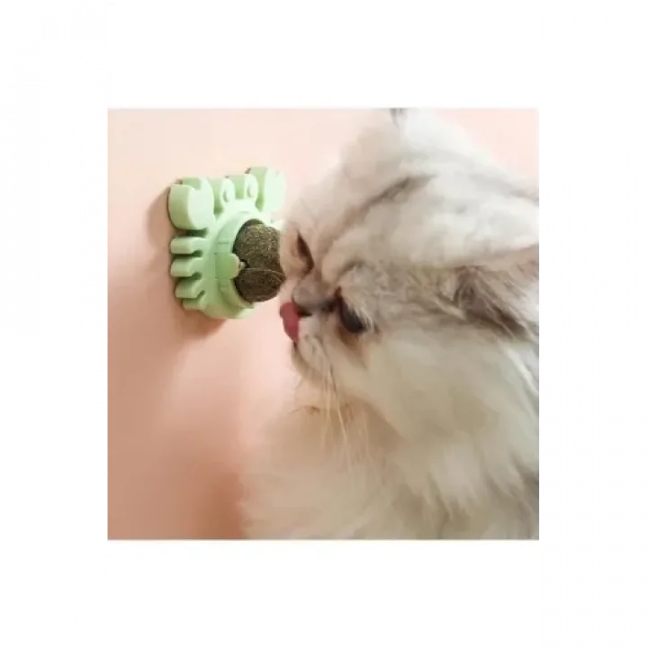 Mey İthalat® Yengeç Kedi Otu Oyun Topu