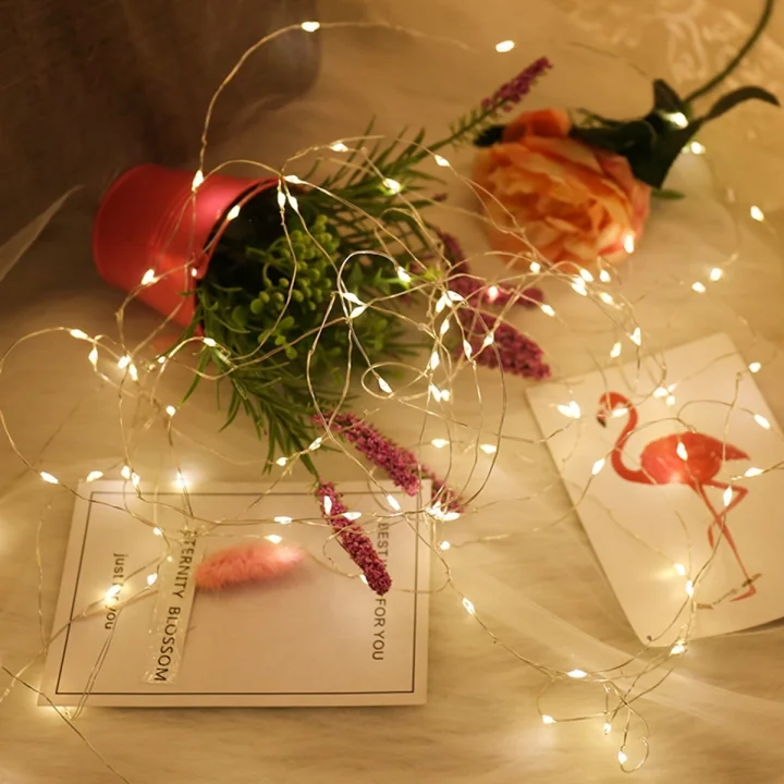 Mey İthalat®  Yılbaşı ve Özel Konsept Dekorasyon 5 Mt USB Bağlantılı Led Işık