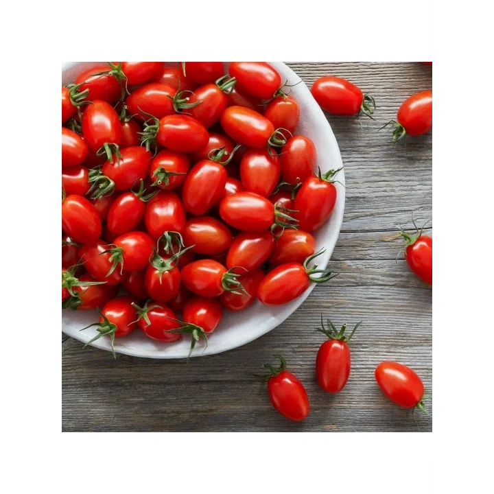 Mini Üzüm Cherry Domates Tohumu 10+ Tohum Saksı ve Balkon İçin
