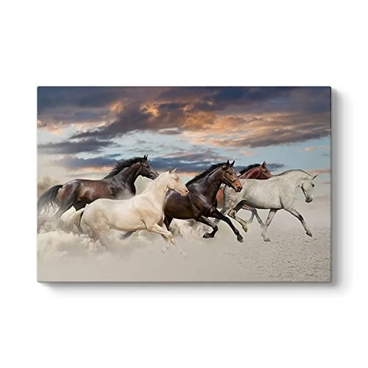 Muhteşem Atlar Tablosu 45 x 30